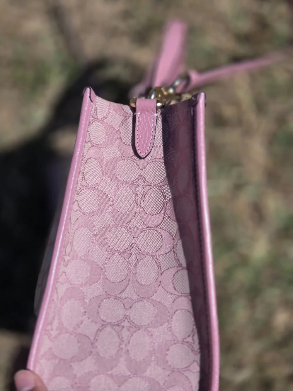 COACH Pink Signature Stripe Tote Bag - Picture 5 of 10